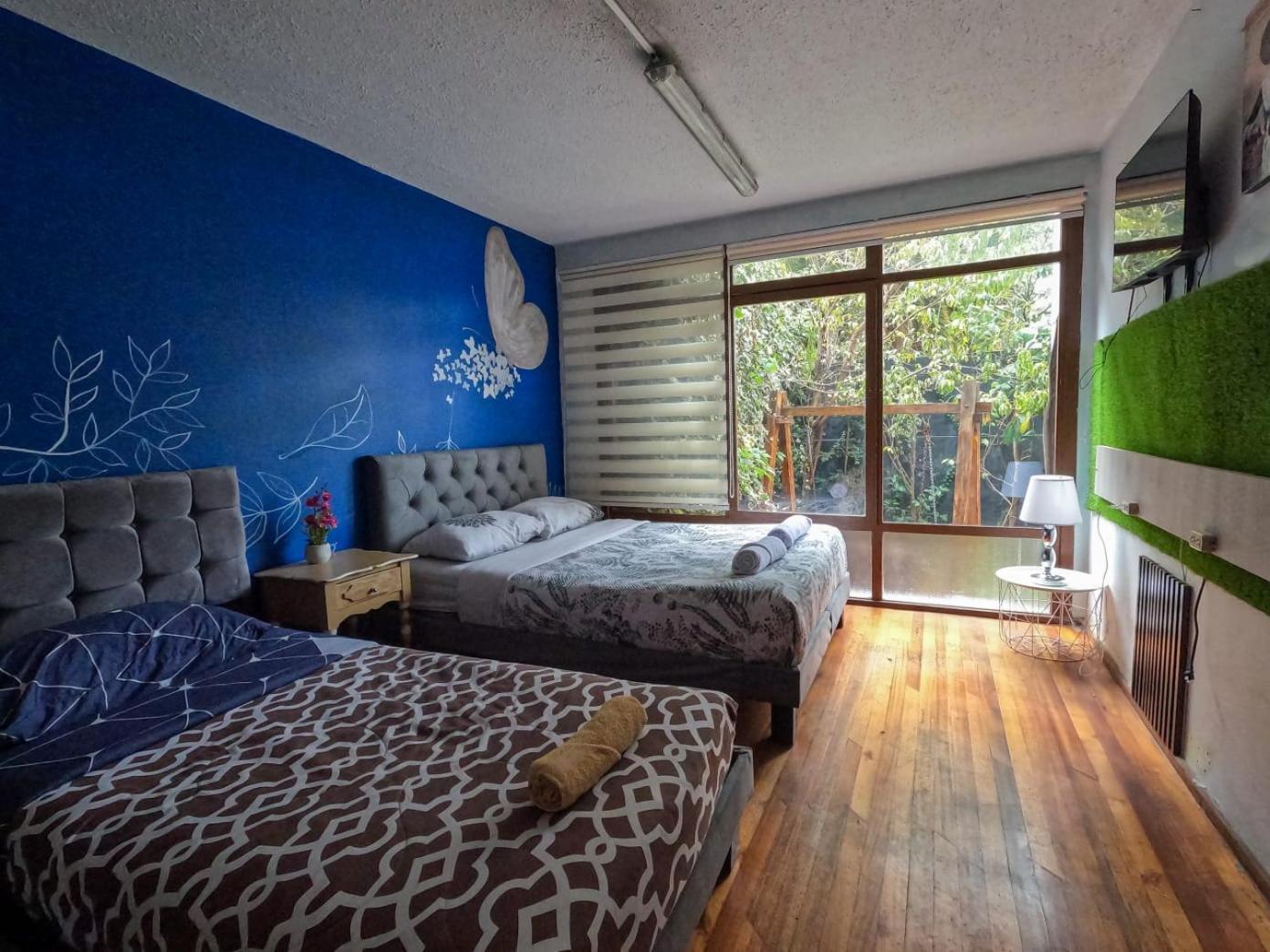 Blue House La Floresta كويتو المظهر الخارجي الصورة